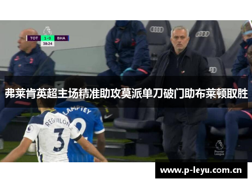 弗莱肯英超主场精准助攻莫派单刀破门助布莱顿取胜 弗莱肯英超主场精准助攻莫派单刀破门助布莱顿取胜