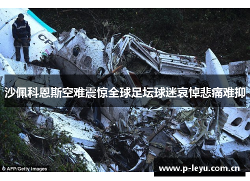 沙佩科恩斯空难震惊全球足坛球迷哀悼悲痛难抑 沙佩科恩斯空难震惊全球足坛球迷哀悼悲痛难抑