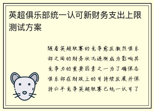英超俱乐部统一认可新财务支出上限测试方案 英超俱乐部统一认可新财务支出上限测试方案